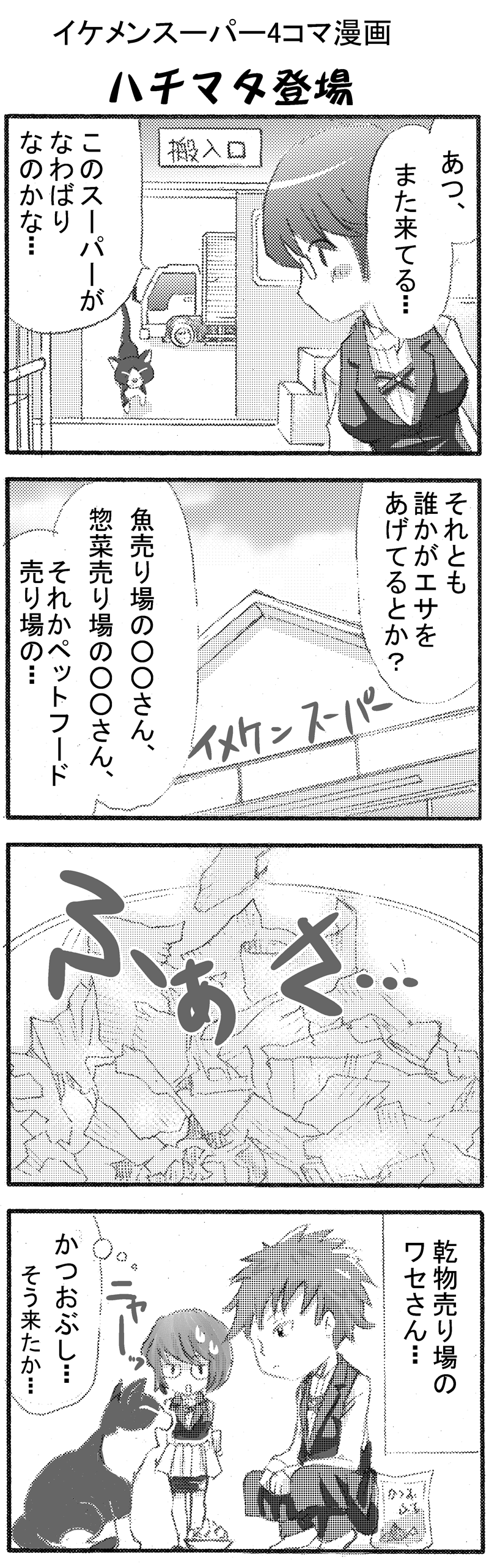 イケメンスーパー10-2 イケメンスーパー10-2