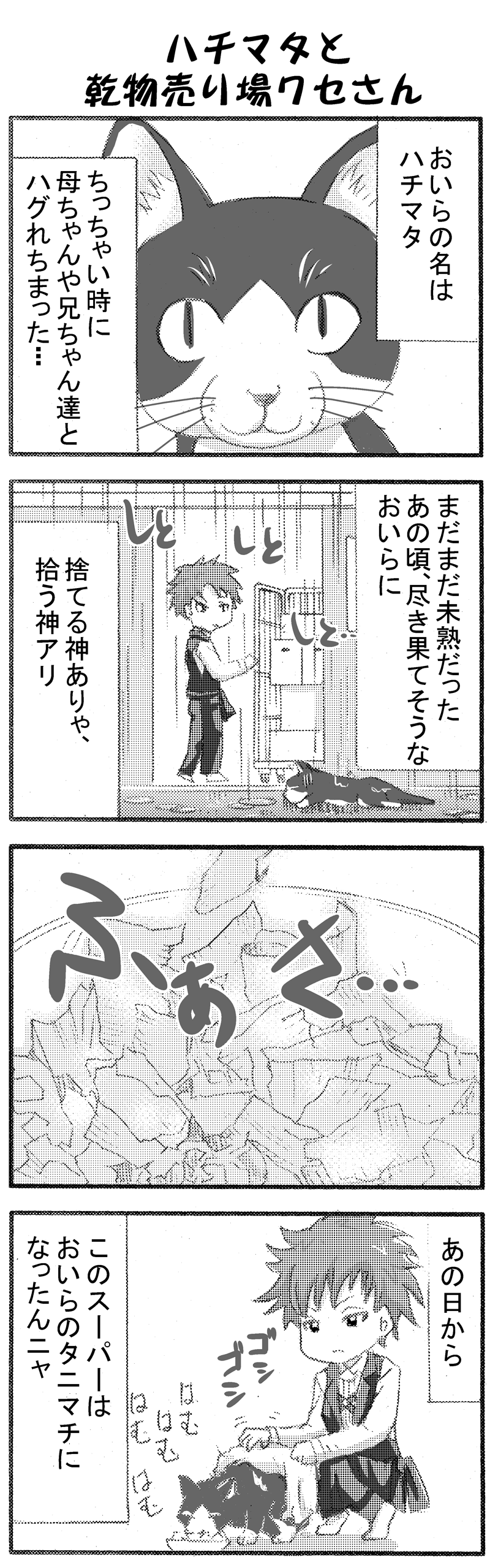 イケメンスーパー10-2-2 イケメンスーパー10-2-2