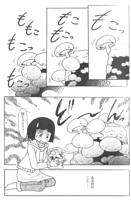 きのこ きのこ