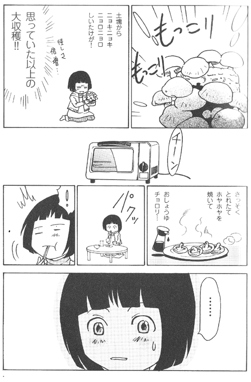 きのこ2 きのこ2
