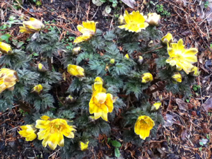 IMG_0028 IMG_0028