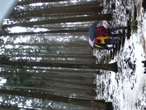 IMG_0035 IMG_0035