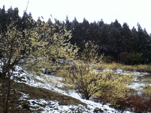 IMG_0030 IMG_0030