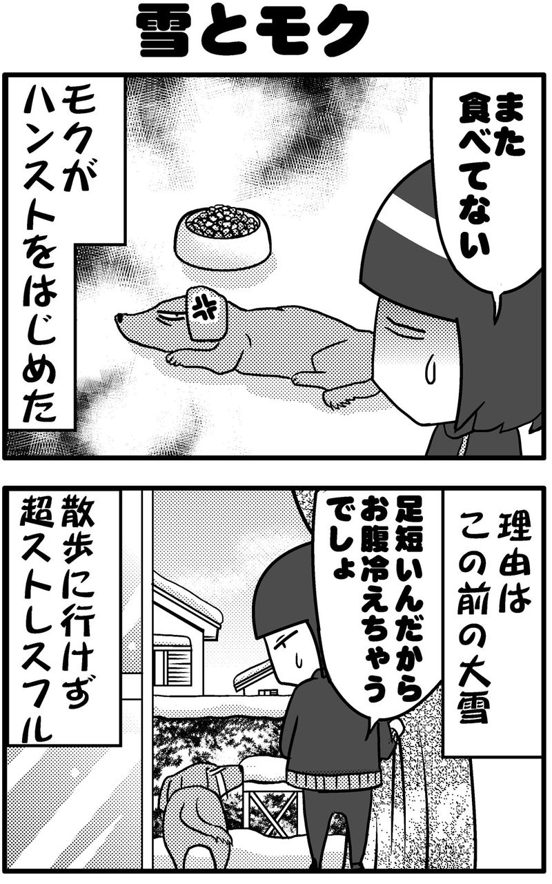 雪とモク1