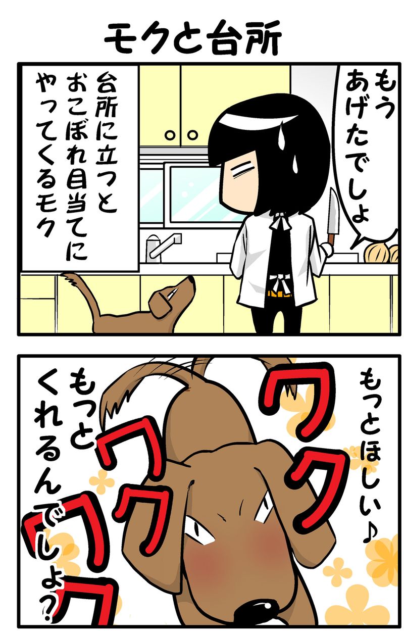 モクと台所　統合-前