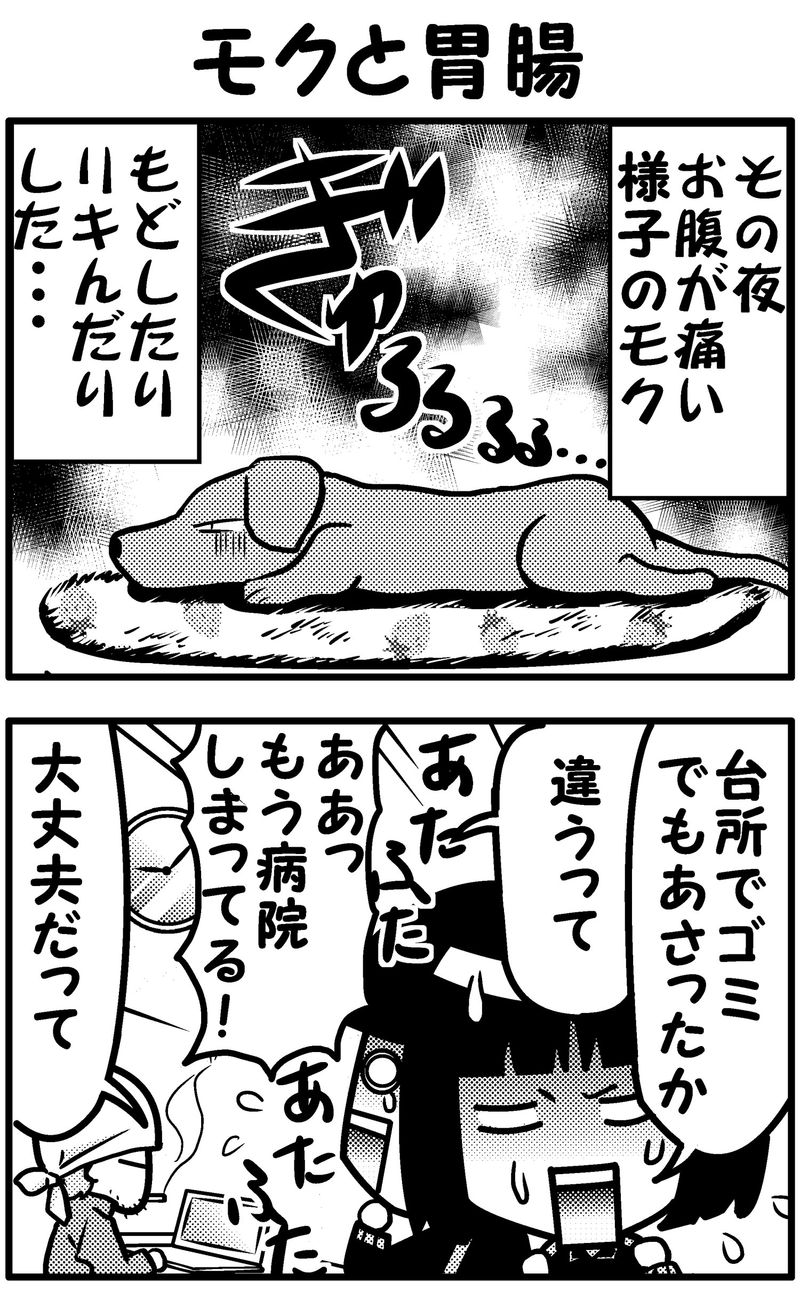 モクと胃腸　統合-前