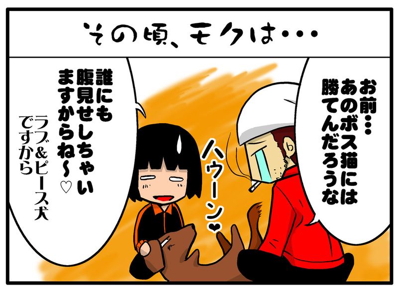 ボス猫4統合ブログ4
