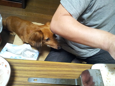 お好み焼き2