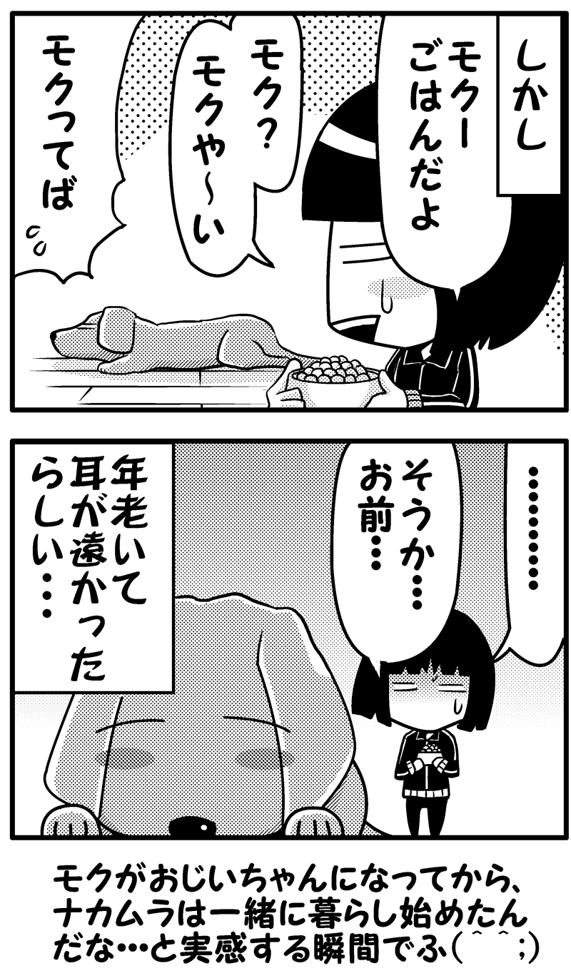 モクのうつわ2(後）
