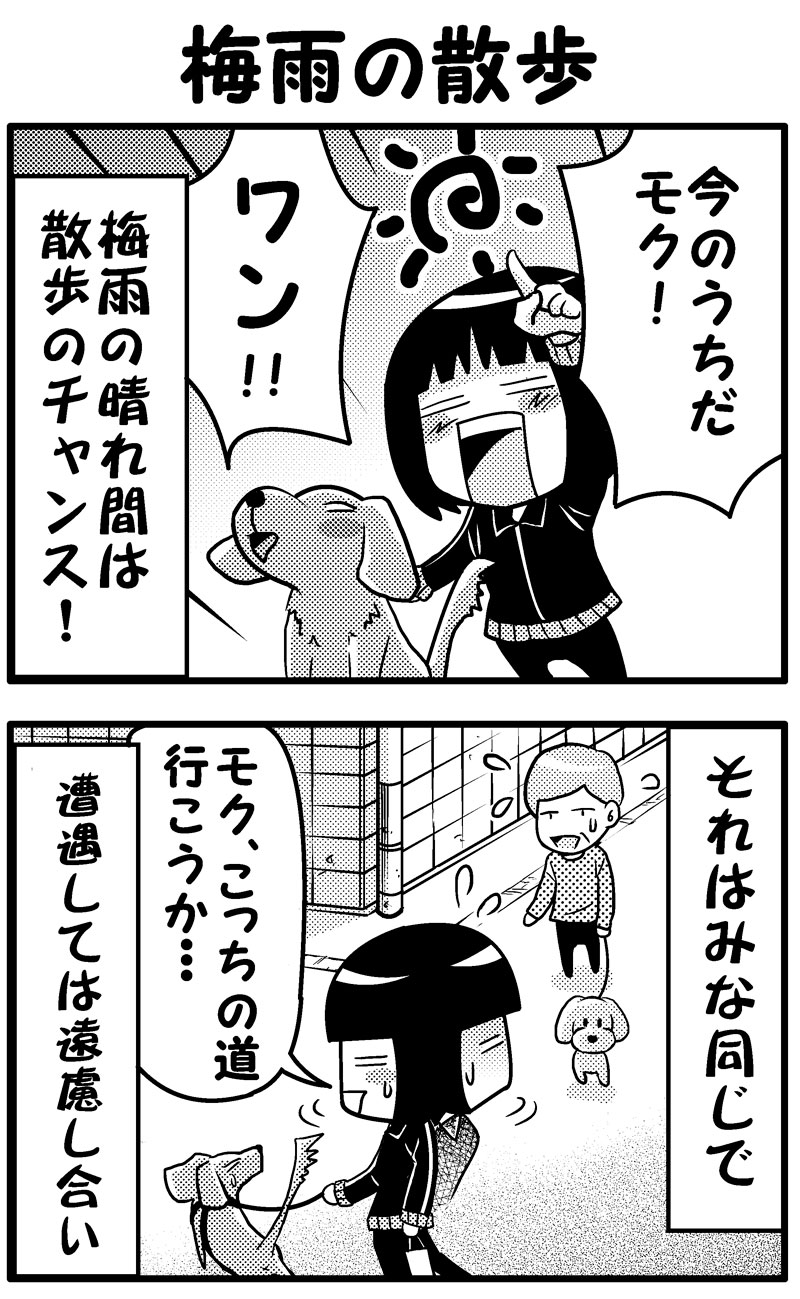 つゆの散歩(前）