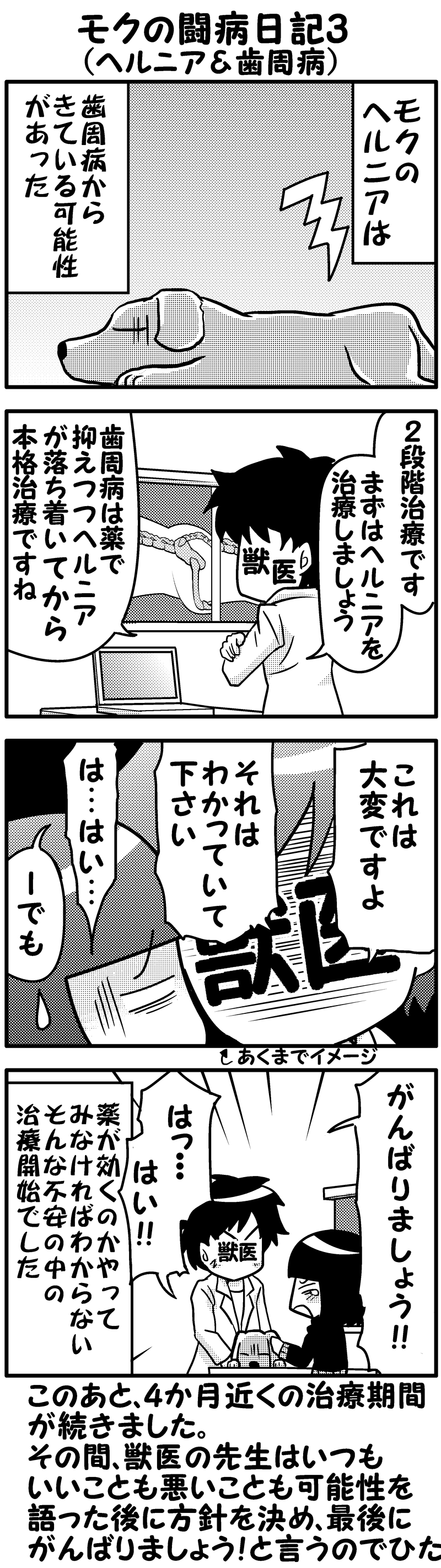 モクの闘病日記3 モクの闘病日記3