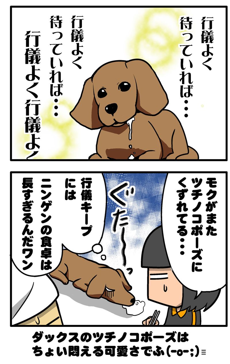 モク2014-3-5ツチノコ後