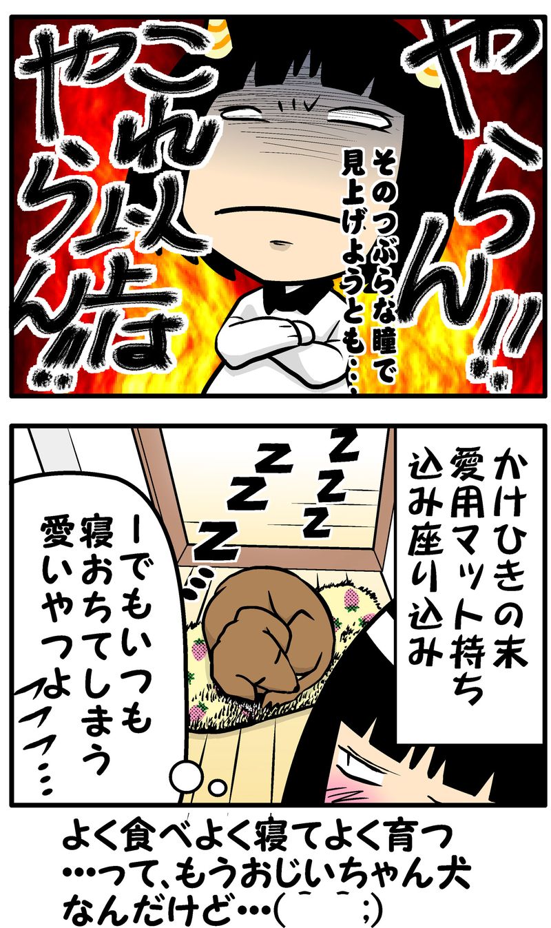 モクと台所　統合-後