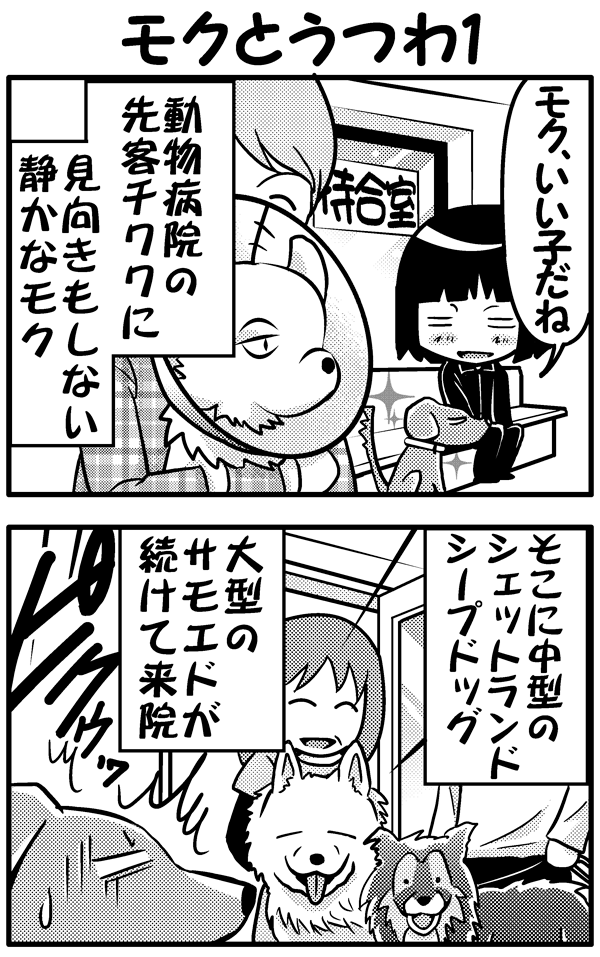 モクのうつわ1(前）
