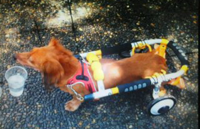 モク車いす