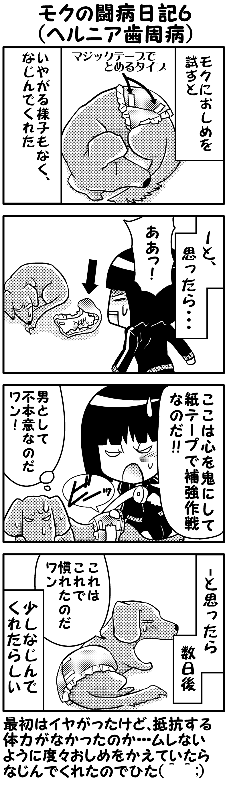 モクの闘病日記6