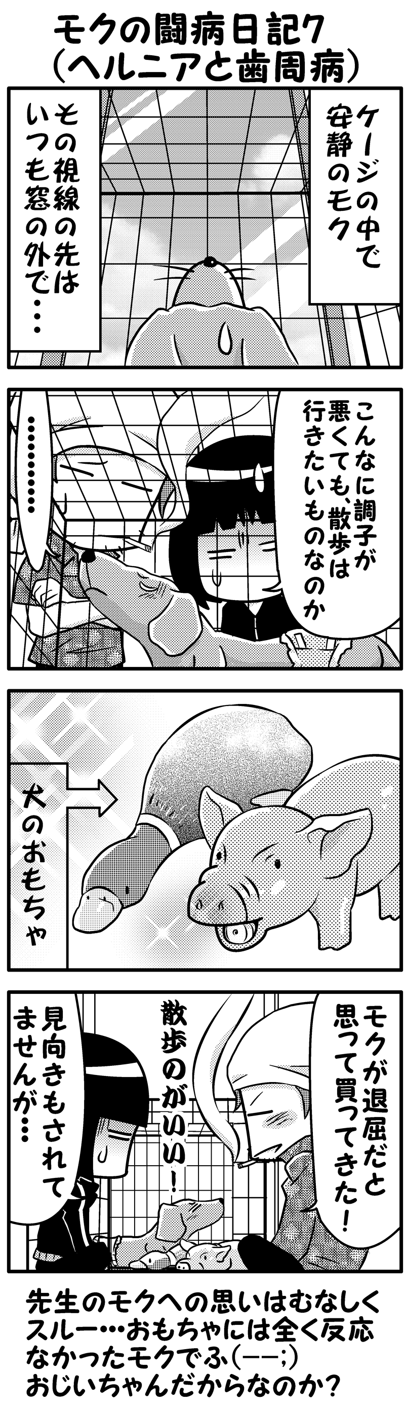 モクの闘病日記7
