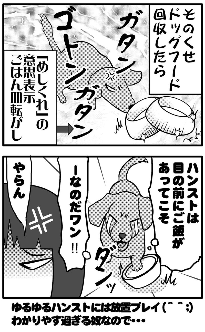 雪とモク2