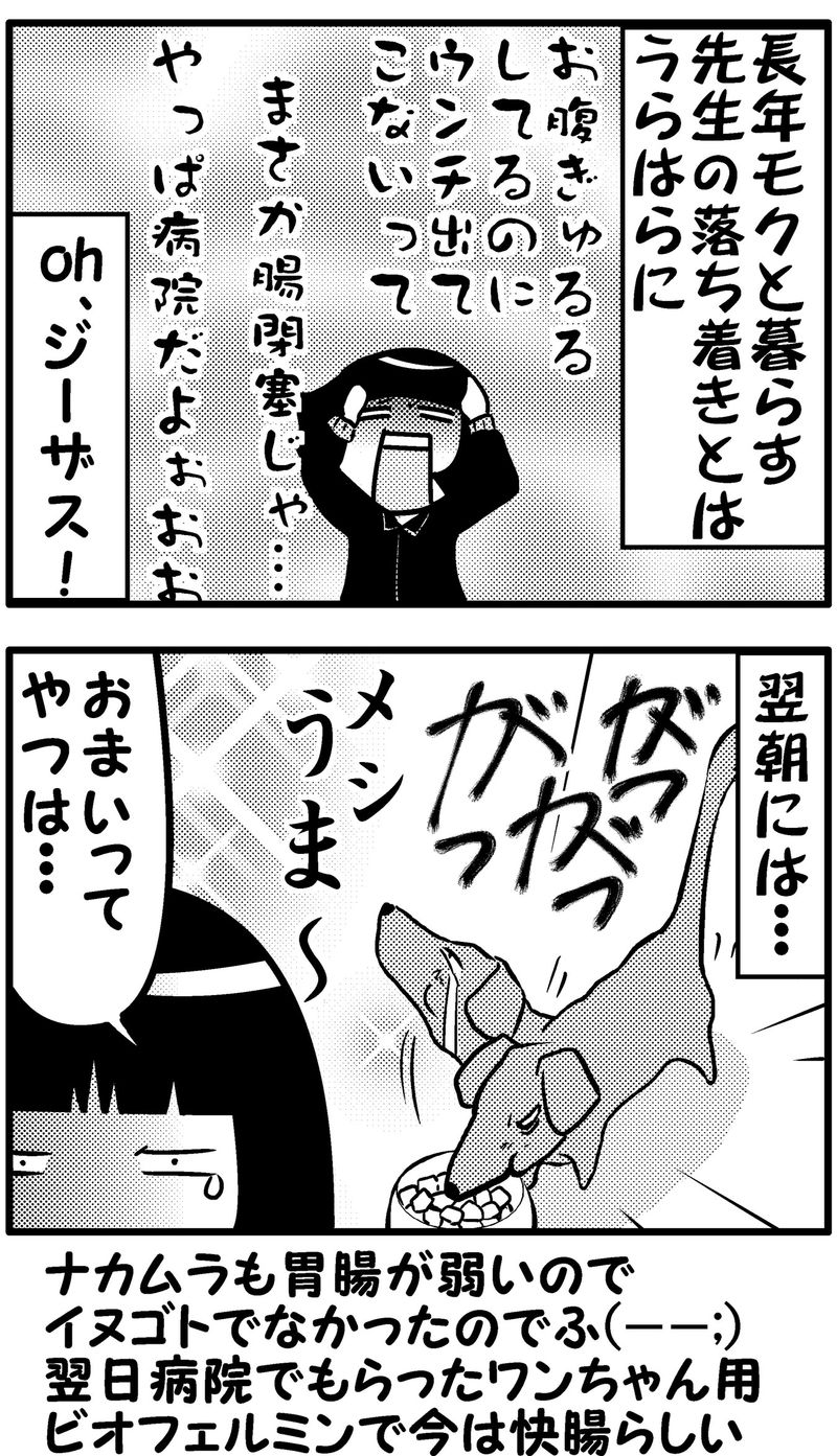 モクと胃腸　統合-後