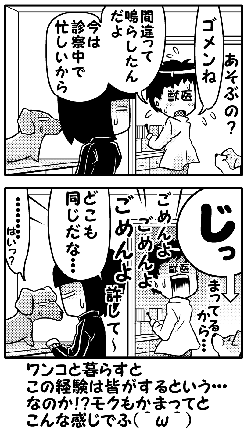 どこも同じ？(後）