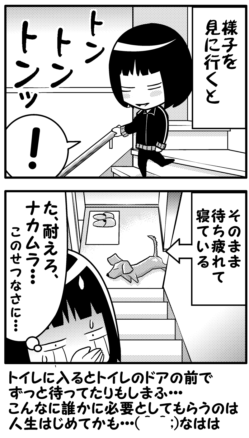 モクと階段下（後）