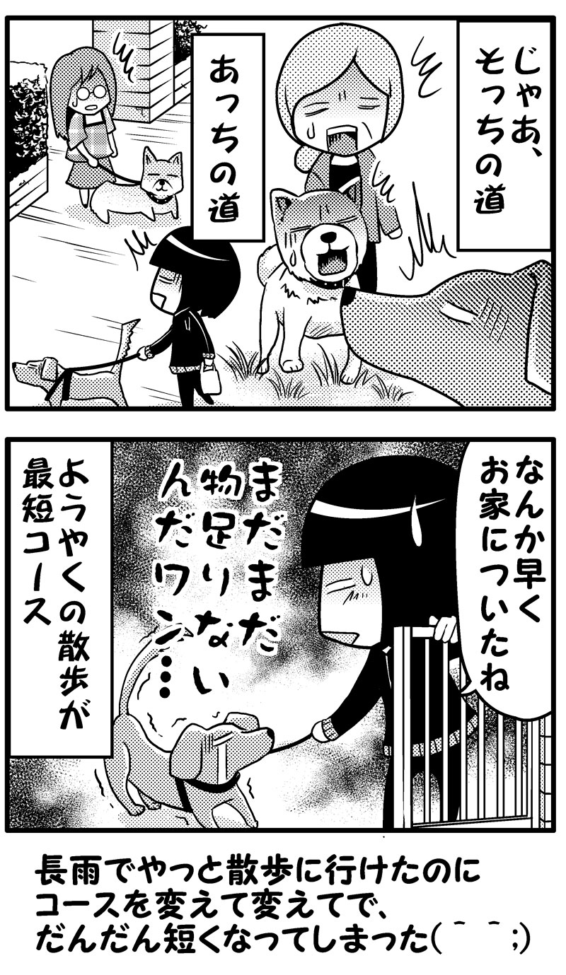 つゆの散歩(後）