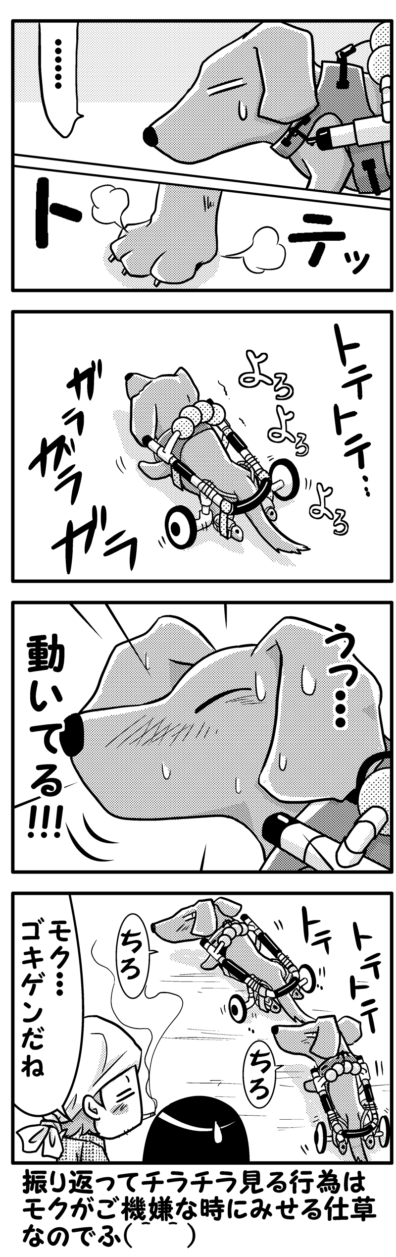 モクの闘病日記9後