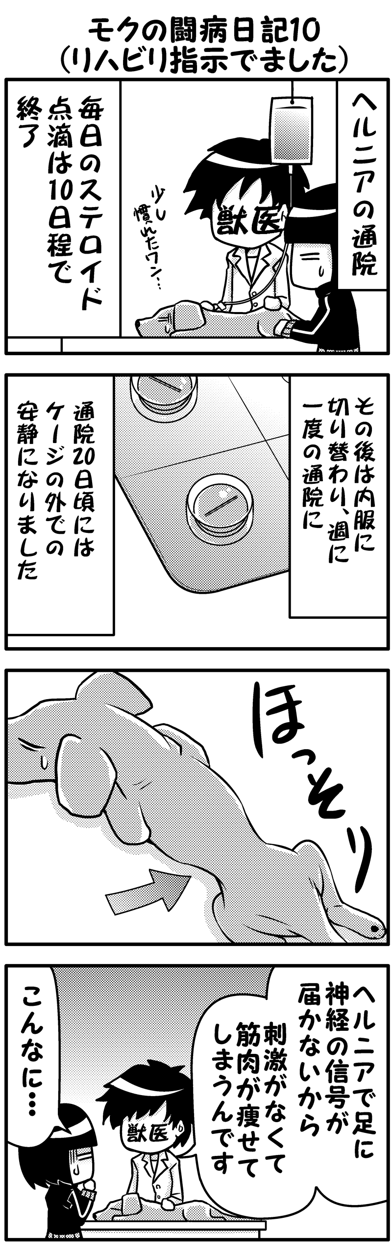 モクの闘病日記10前