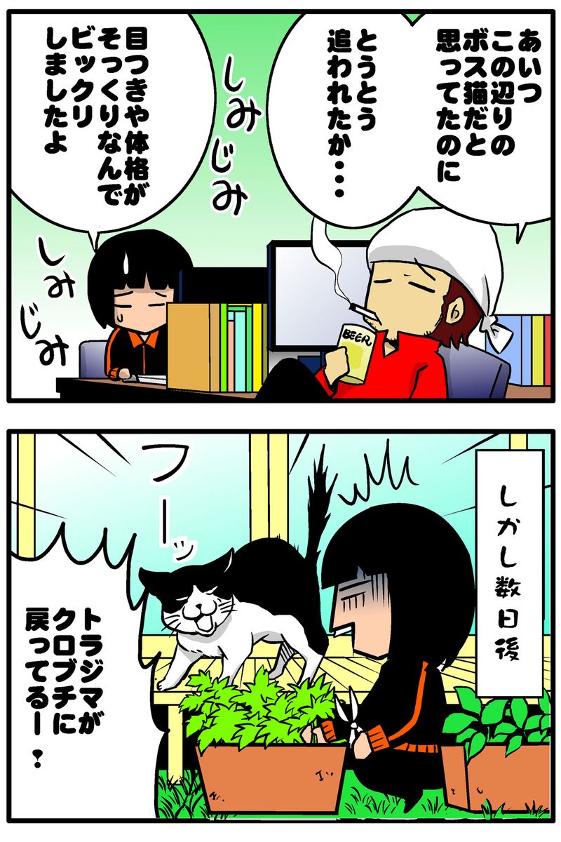 ボス猫4統合ブログ2