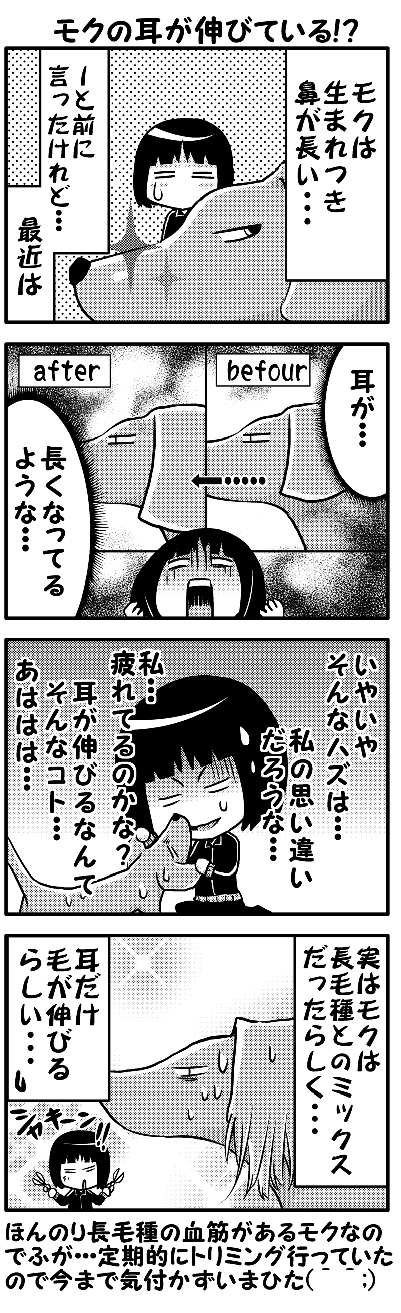 モクの耳が長い