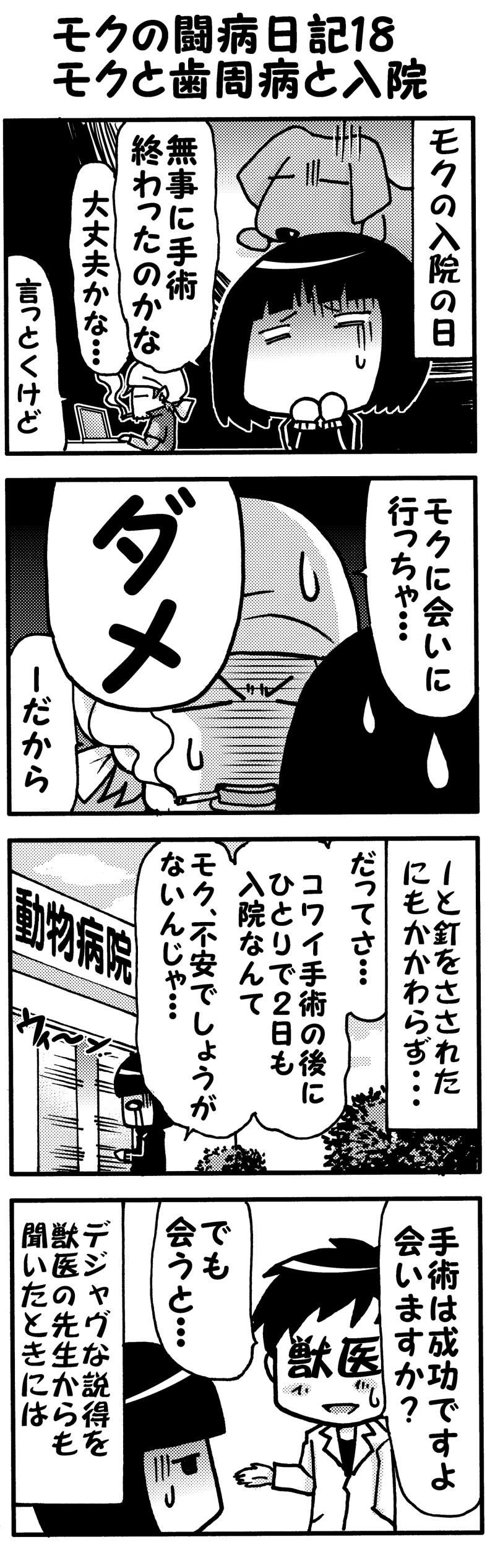 モクの闘病日記18・・・入院モノクロ(前）