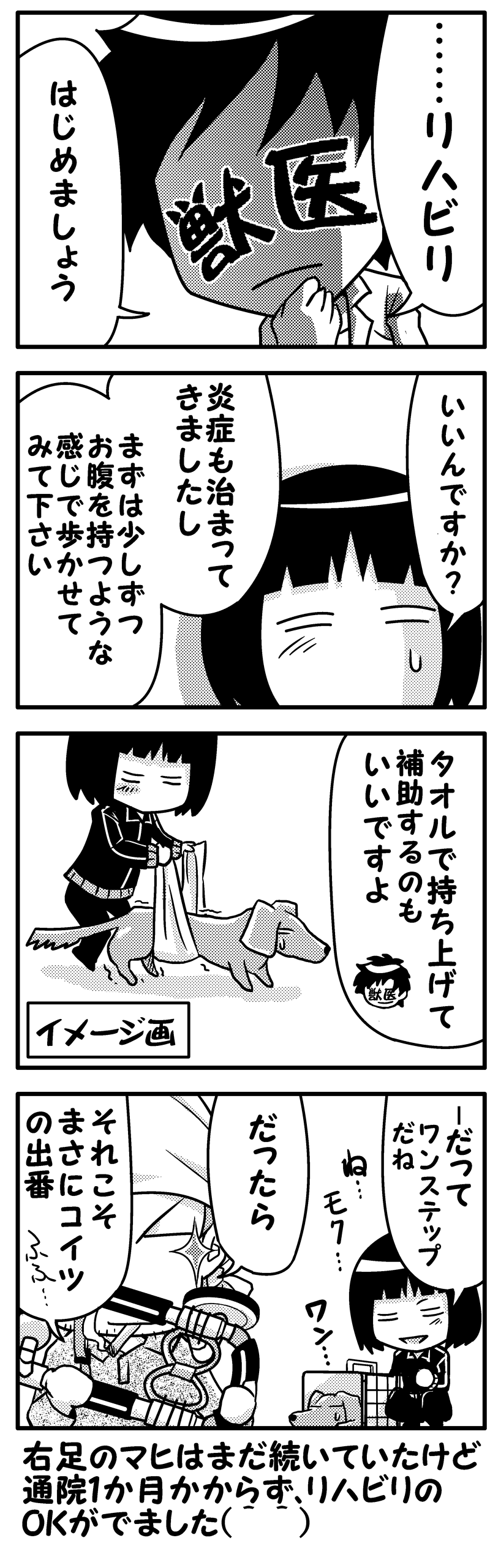 モクの闘病日記10後