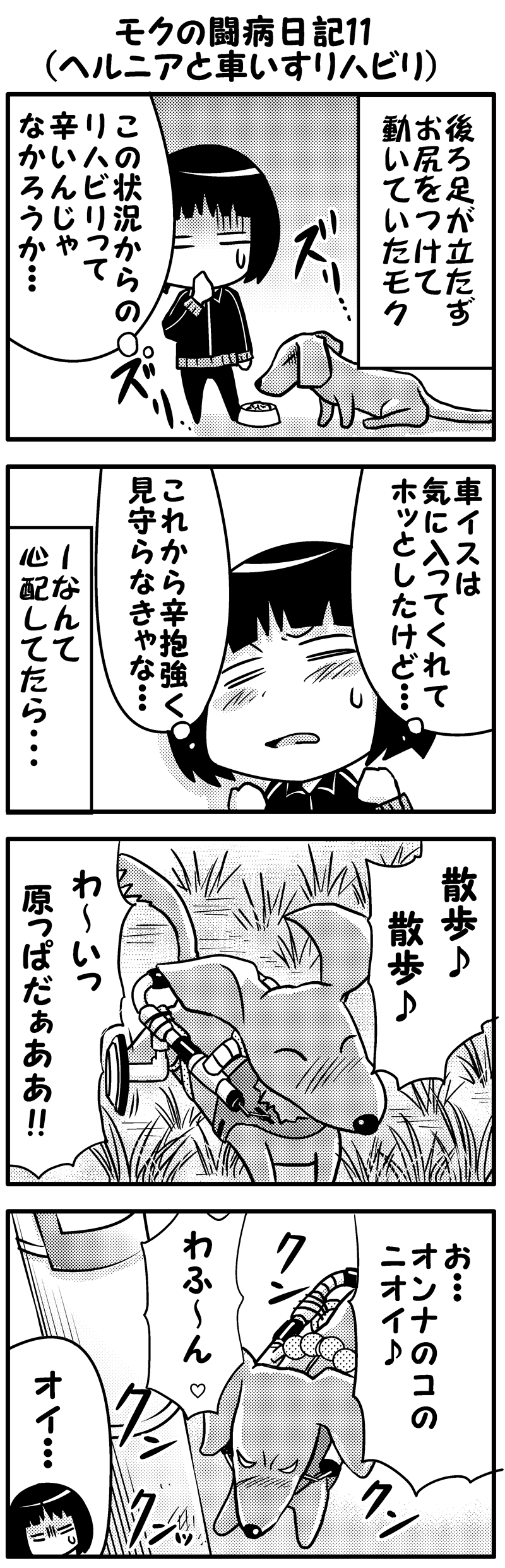 モク闘病日記１１前