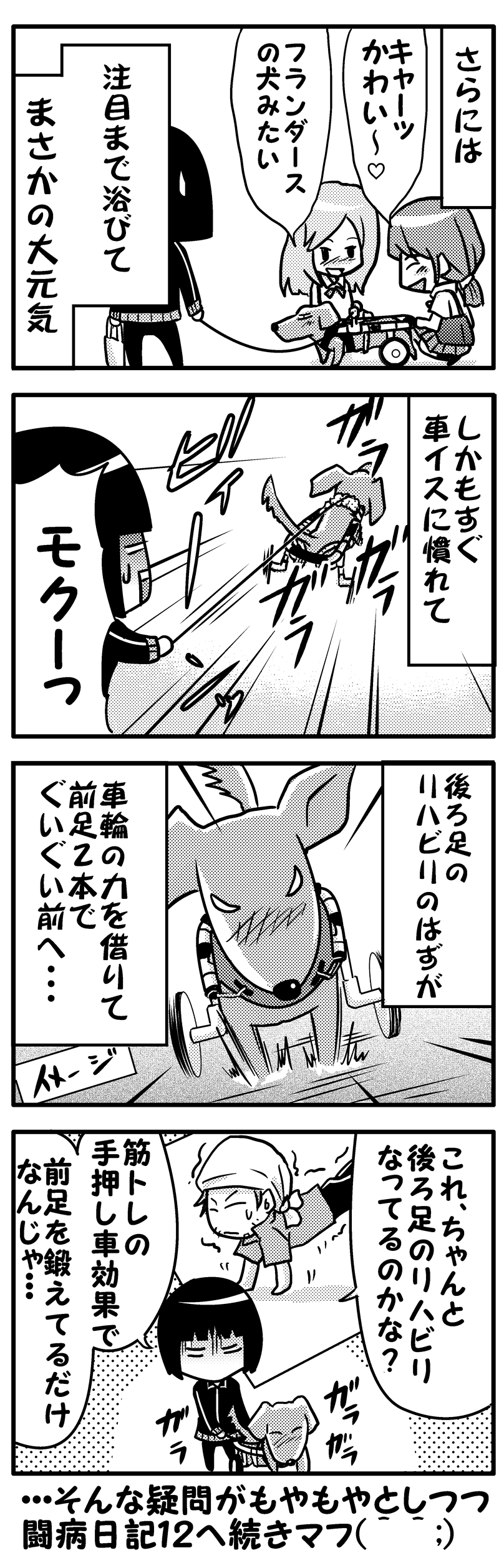 モク闘病日記１１後