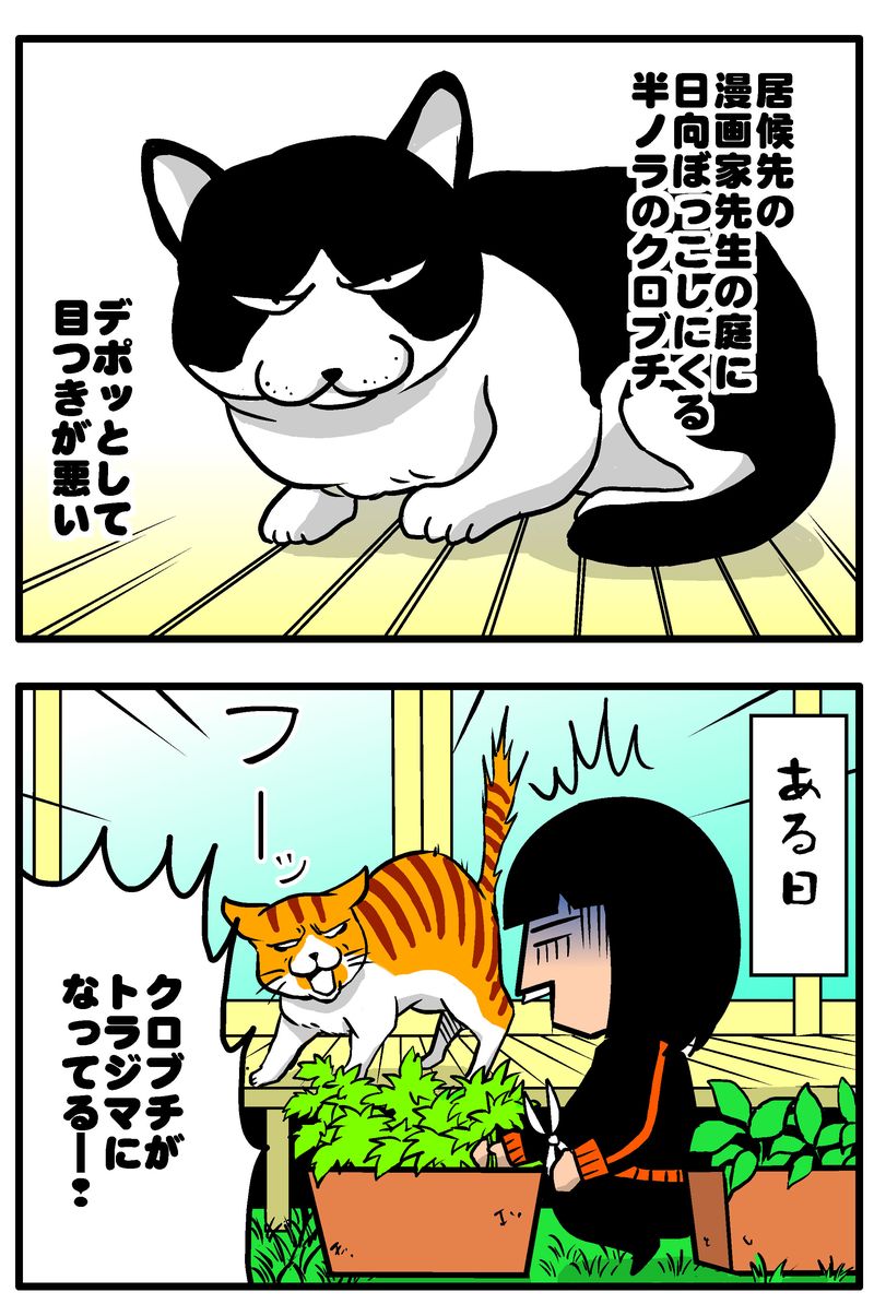 ボス猫4統合ブログ1
