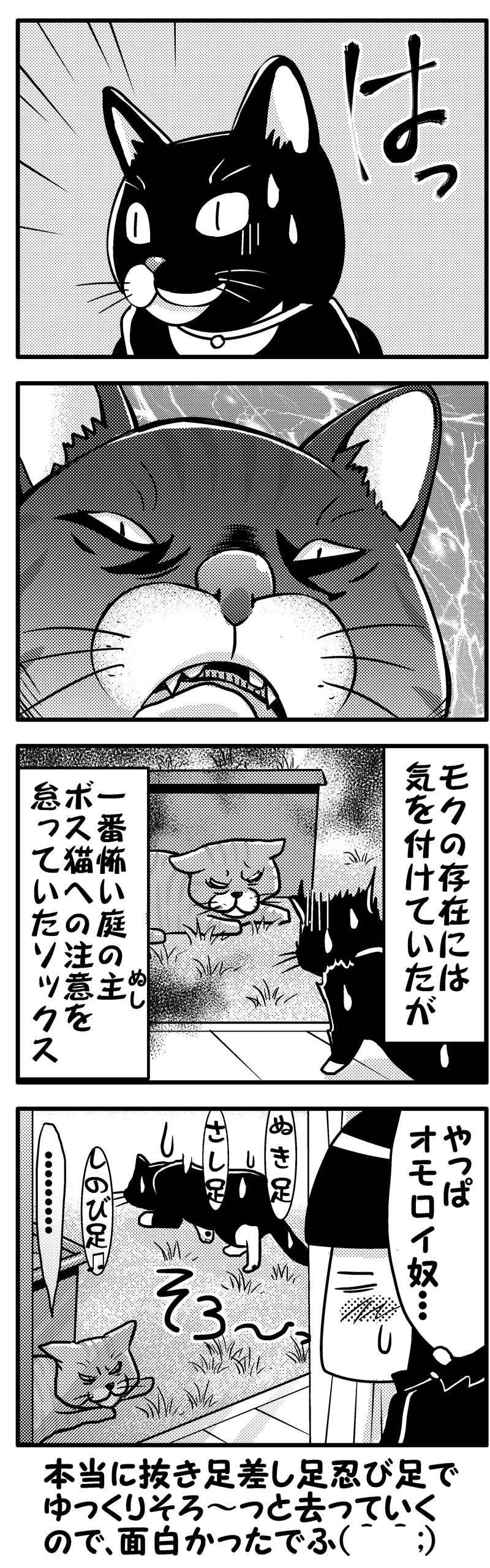 ソックスとボス猫(後）