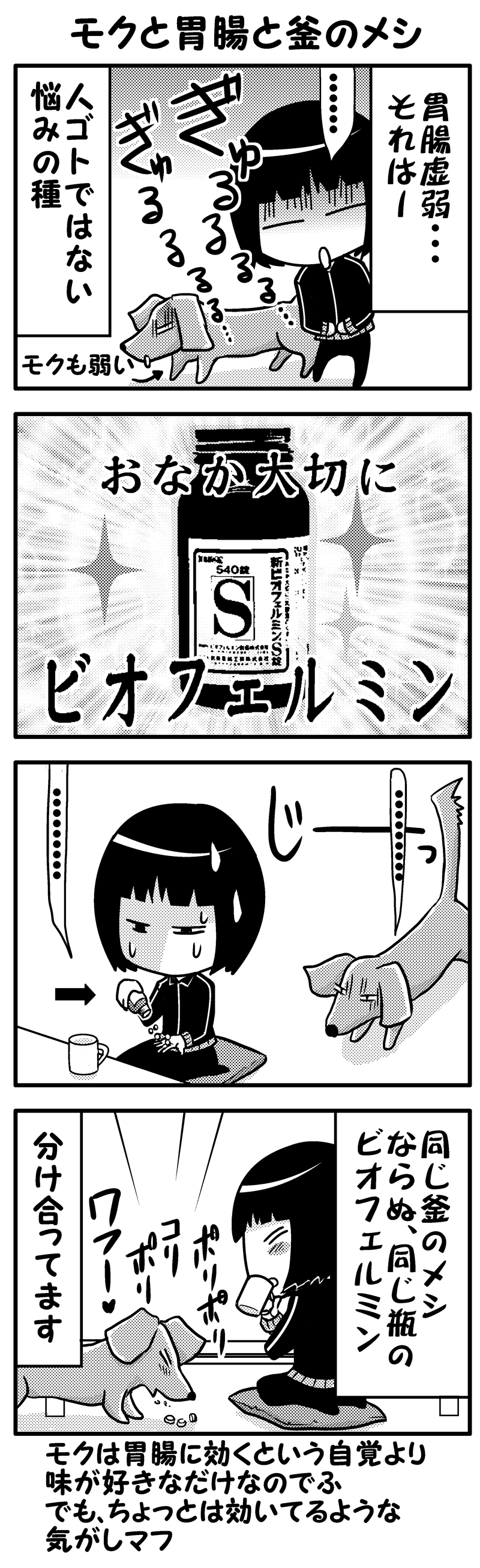 モクと胃腸と釜のメシ